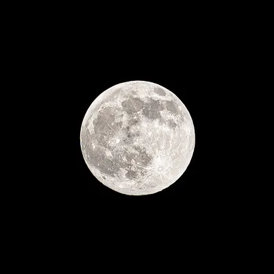 Полная луна. Фотограф Сальников Евгений