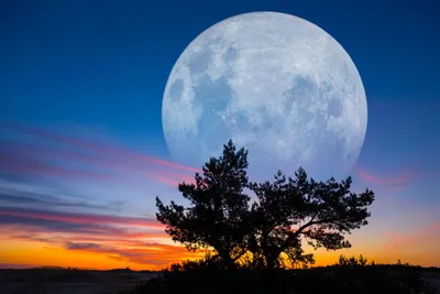 NASA показало видео Луны в высочайшем разрешении 4К - Российская газета
