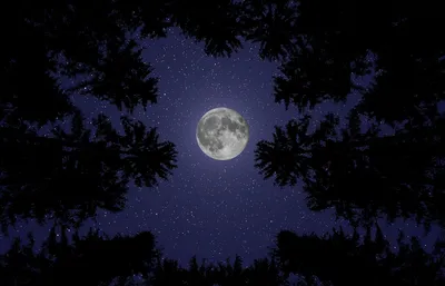 Фазы Луны | cosmo-dude | Дзен