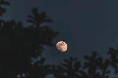 Половина луны в ночное время · Бесплатные стоковые фото