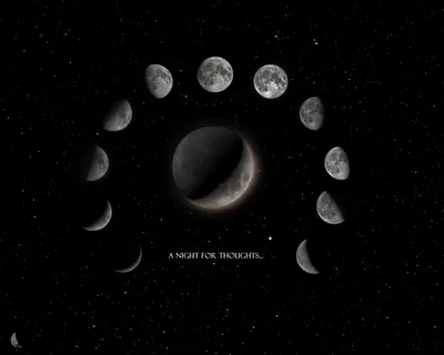 Луна-25» прислала первый снимок поверхности Луны. В кадр попали внутренняя  часть и центральные пики кратера Зееман