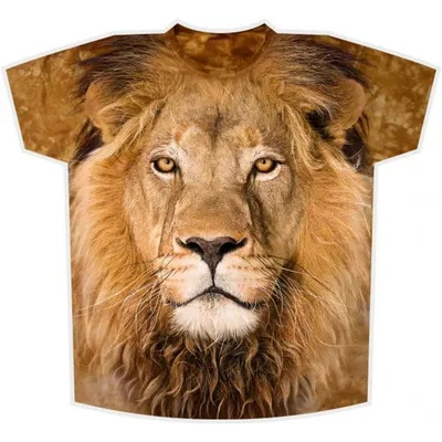 Картинки льва на футболку фото