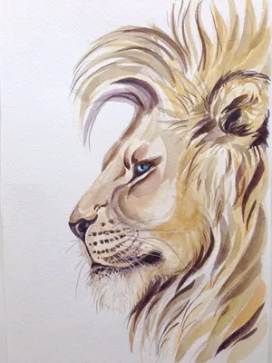 Картинки льва нарисованные фотографии