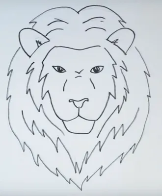 иллюстрация льва, мультфильм льва, мультфильм лев, мультипликационный  персонаж, млекопитающее, нарисованные png | PNGWing