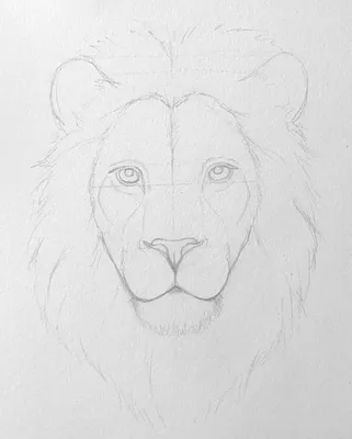 Нарисованная рукой голова льва Иллюстрация вектора - иллюстрации  насчитывающей волосы, ангстрома: 56857709