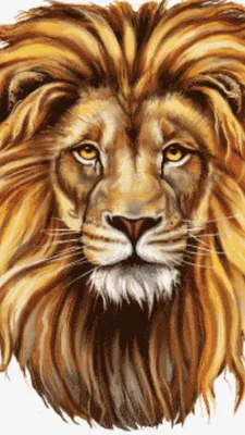 Король лев, рисуем карандашом. Симба, черно-белый вариант | РИСУЮ ДОМА |  Дзен