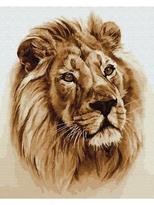 лев, нарисованный лев, голова льва, тотем png | Klipartz