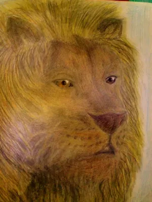 Рисунок головы льва, нарисованный сухой черной кистью, выделенный на белом  фоне - Ozero - российский фотосток