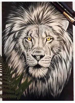 Отвечаю на вопросы подробнее и показываю, как рисовала льва. | Анна Ульман  | Дзен