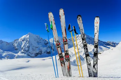 Лыжный Клуб Школа На Лыжах Поездок Красочные Группа Снег Лыжников —  стоковые фотографии и другие картинки Лыжный спорт - iStock