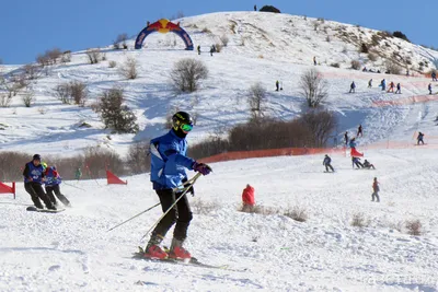 Занятие лыжным спортом польза для здоровья | ZOZH74.ru | Дзен