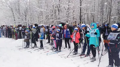 Армения может стать центром туризма – глава Федерации лыжного спорта знает,  как - 03.02.2022, Sputnik Армения