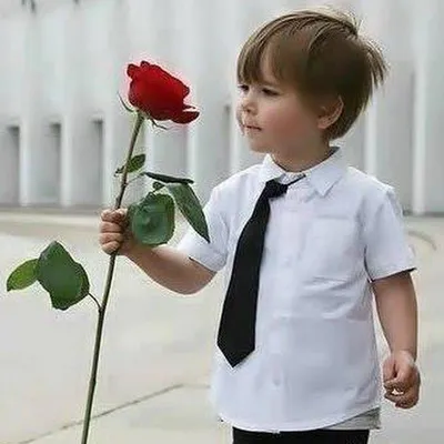 Мальчик с розой красного цвета Стоковое Фото - изображение насчитывающей  европейско, красиво: 29012548