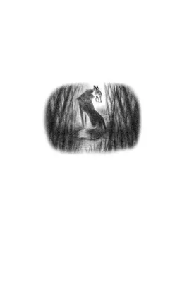 Портрет милого маленького лисенка, изолированного на белом | Премиум Фото