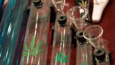 Три килограмма марихуаны изъяли у жителя Краснодона - KP.RU