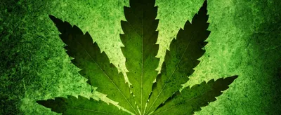 Flag Marijuana Leaf Handle Thumb Stud Pocket Knife Green Silver Red EDC 😎  | eBay