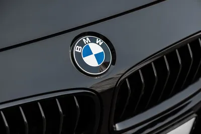 Самые крутые и очень редкие машины BMW на Авто.ру - читайте в разделе  Подборки в Журнале Авто.ру