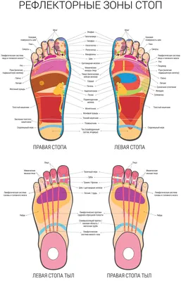 Точечный (акупунктурный) массаж стоп и ног от боли