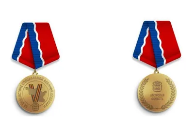 Медали и знаки защитников Отечества - Награды к 23 февраля