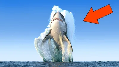 Мег: Монстр глубины (2018, фильм) - «Огромная акула Мегалодон вырвалась на  свободу. Отличная фантастическая катастрофа-боевик с правдоподобной  графикой. Совсем скоро выйдет вторая часть \"Мег\". Советую посмотреть  первую!» | отзывы