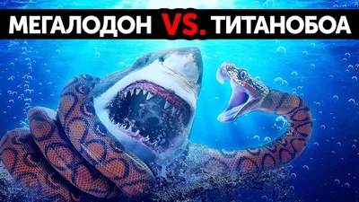 Фигурка мегалодона PNSO Megalodon акула доисторическая (ID#1403345970),  цена: 1047 ₴, купить на Prom.ua