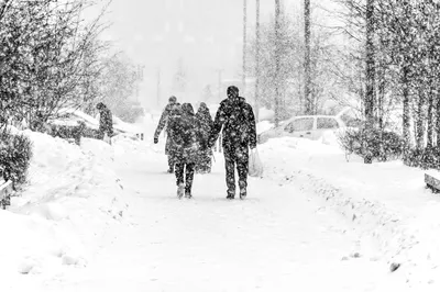 Метель над городом. в городе идет снег | Премиум Фото