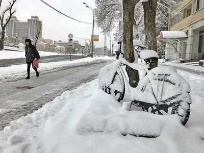 Картинки метель в городе фотографии