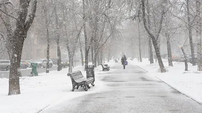 Черная метель\" и снегопад: что происходит в Москве при непогоде —  27.11.2023 — Статьи на РЕН ТВ