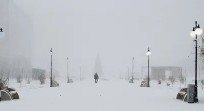 Опять метель: как выглядит Петербург под снежной лавиной 27 ноября