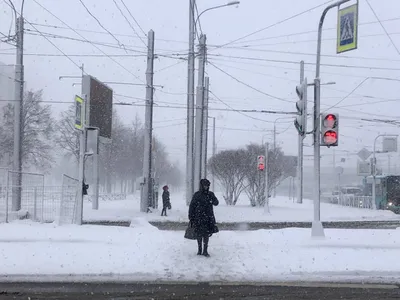 Очевидный признак зимы»: жителей Москвы предупредили о первой метели