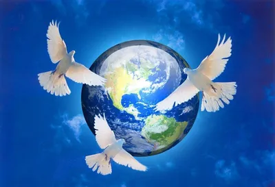 Международный день мира - Праздники сегодня | 21 сентября, Праздничные  цитаты, Праздник