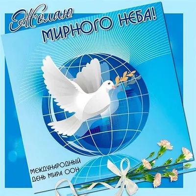 Международный день мира в «Дубравушка Club» 23.09.2023-24.09.2023