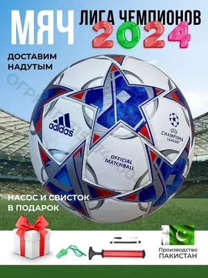 Finale 13 – официальный мяч Лиги чемпионов УЕФА сезона 2013-2014. |