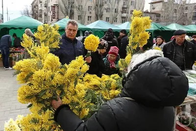 Мимозу на 8 Марта лучше не дарить — Новости «Северного Города»