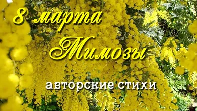 Картинки поздравления с 8 марта мимоза (41 фото) » Юмор, позитив и много  смешных картинок