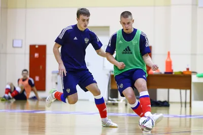 Российский мини-футбол пережил революцию, теперь клубы управляют Суперлигой  - Ведомости.Спорт