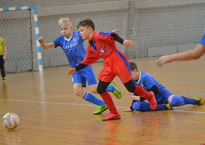 Сбор юношеской сборной России по мини-футболу пройдёт с 19 по 23 ноября -  Российский футбольный союз