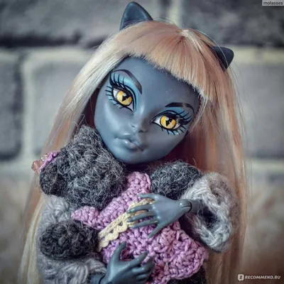 Купить куклы Monster High Meowlody and Purrsephone в Украине
