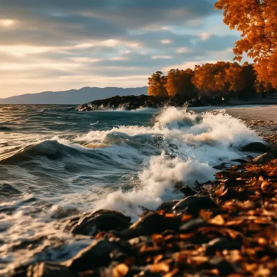 Балтийское море осенью - 56 фото