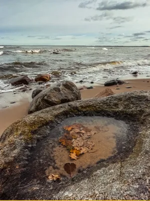 Балтийское море осенью | Пикабу