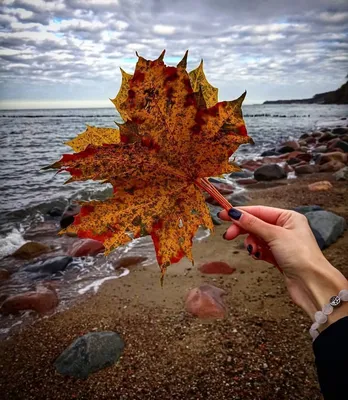 Черное море осенью (60 фото) - 60 фото