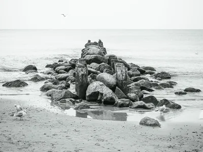 Молодой Человек На Фоне Моря. Осенью Пляж Фотография, картинки, изображения  и сток-фотография без роялти. Image 30132010