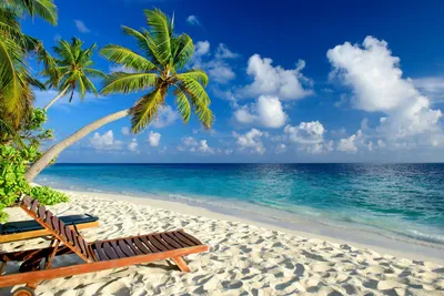 Скачать обои море, пляж, тропики, пальмы, отдых, раздел природа в  разрешении 2156x1440 | Курорты с пляжами, Тропический пляж, Пляж