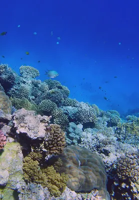 Сонник Море ⇒ К чему снятся море толкование, значение сна