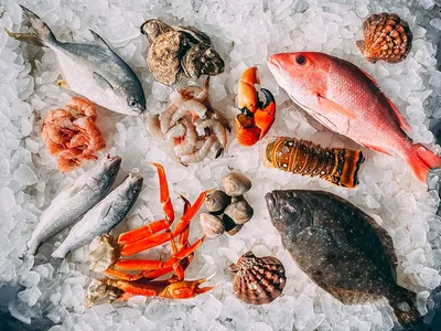 Рекомендации по выбору морепродуктов