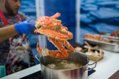 Список 10 самых дорогих блюд из морепродуктов | Топ Мира | Дзен