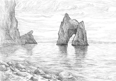 Иллюстрация карандаша. Оболочка моря. Пляж и летний отдых темы Иллюстрация  штока - иллюстрации насчитывающей карандаш, морепродукты: 212462700