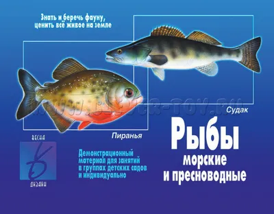 Морской дракон – опасная рыба Черного моря