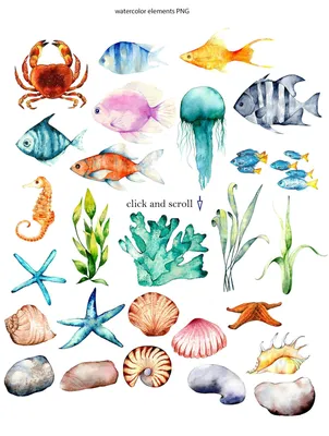 зеленый морской рыбок иконка цвет контура Иллюстрация вектора - иллюстрации  насчитывающей печенье, сливк: 233692765