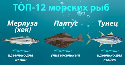 Корм для рифовых морских рыбок водорослеедов Hikari Marine Seaweed Extreme  купить в Киеве - Аквасмайл